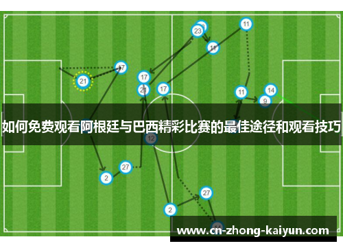 如何免费观看阿根廷与巴西精彩比赛的最佳途径和观看技巧