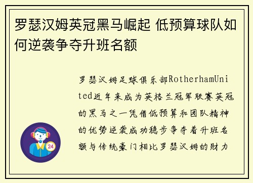 罗瑟汉姆英冠黑马崛起 低预算球队如何逆袭争夺升班名额 罗瑟汉姆英冠黑马崛起 低预算球队如何逆袭争夺升班名额