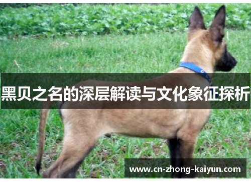 黑贝之名的深层解读与文化象征探析 黑贝之名的深层解读与文化象征探析