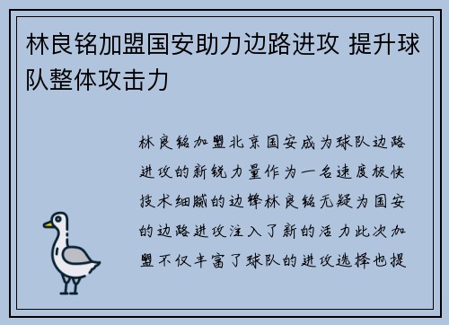 林良铭加盟国安助力边路进攻 提升球队整体攻击力