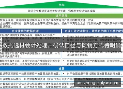 数据选材会计处理，确认口径与摊销方式待明确